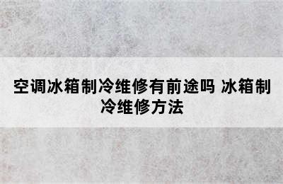 空调冰箱制冷维修有前途吗 冰箱制冷维修方法